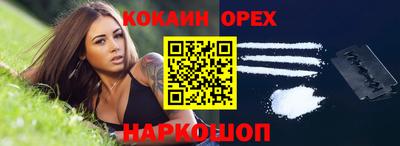 стаф Гай