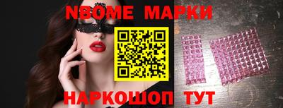 стаф Гай