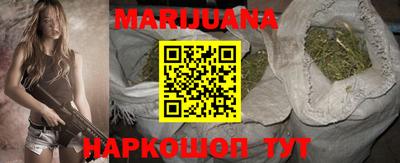 стаф Гай
