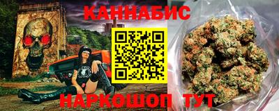 стаф Гай