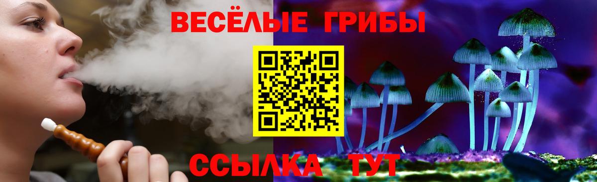 Галлюциногенные грибы мухоморы  Вход с VPN  Выкса 