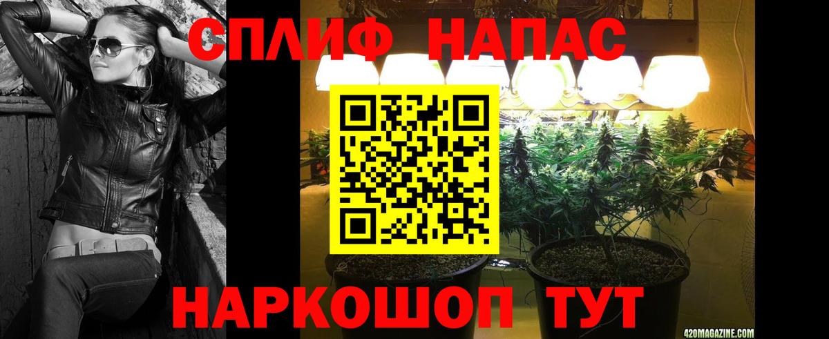 Каннабис ГИДРОПОН  Вход с VPN  Выкса  Шишки марихуана семена 
